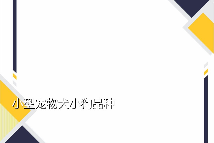 小型宠物犬小狗品种