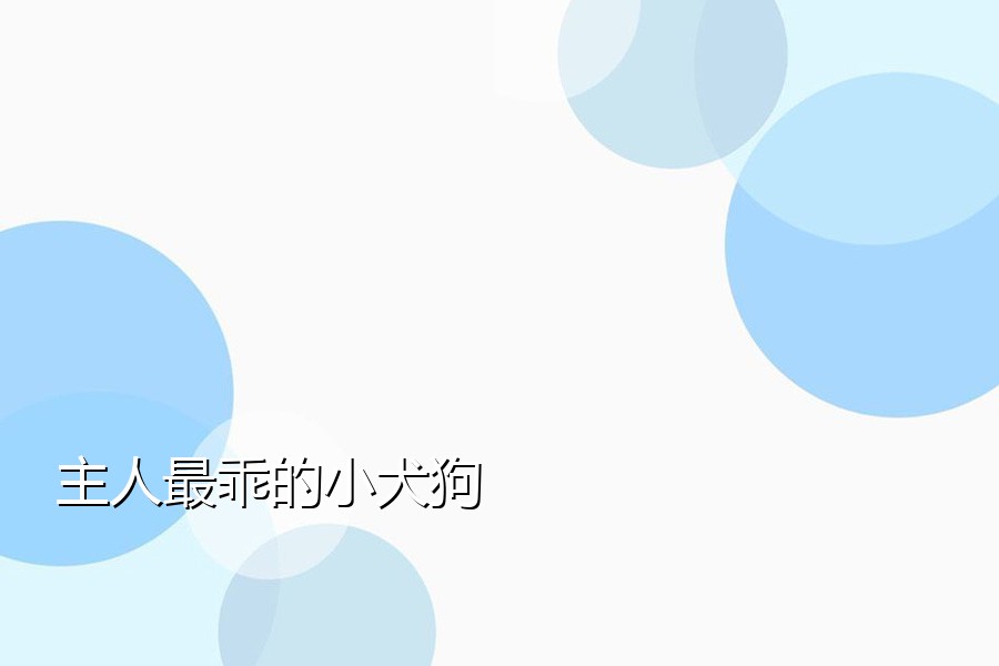 主人最乖的小犬狗