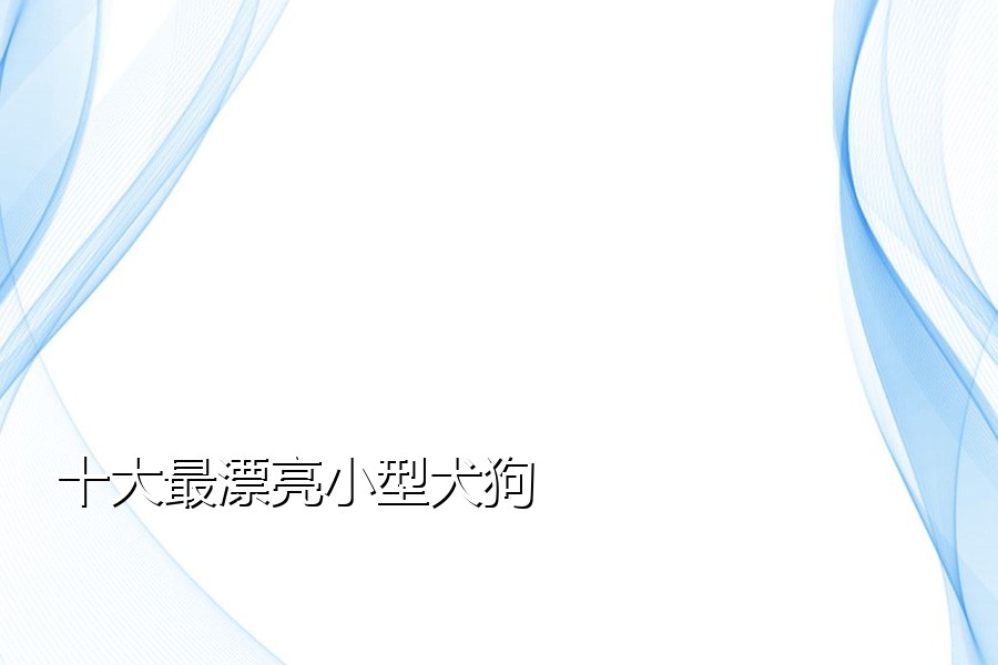十大最漂亮小型犬狗