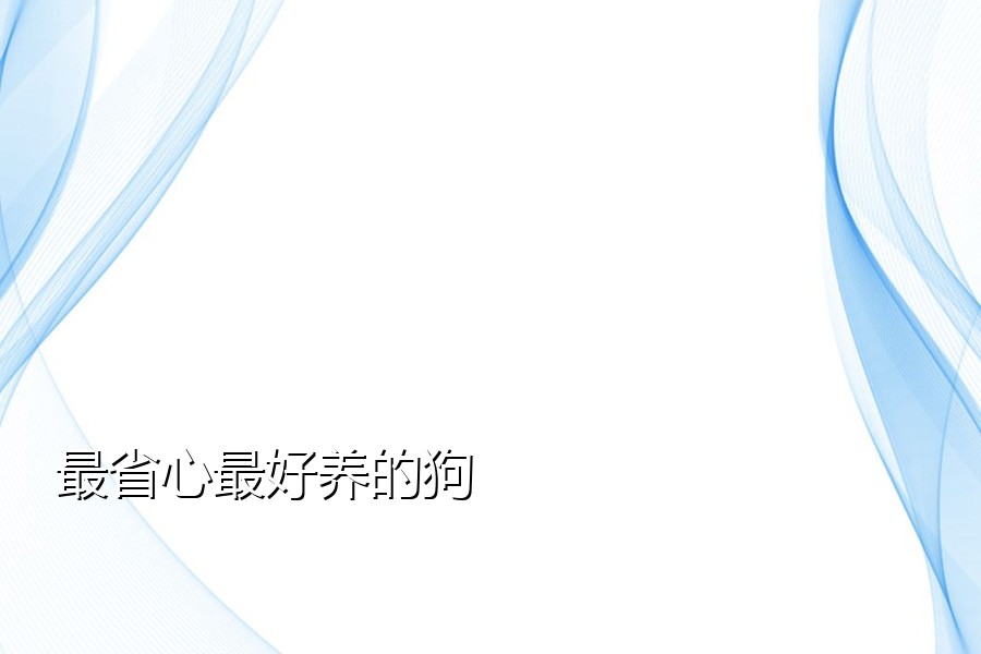 最省心最好养的狗